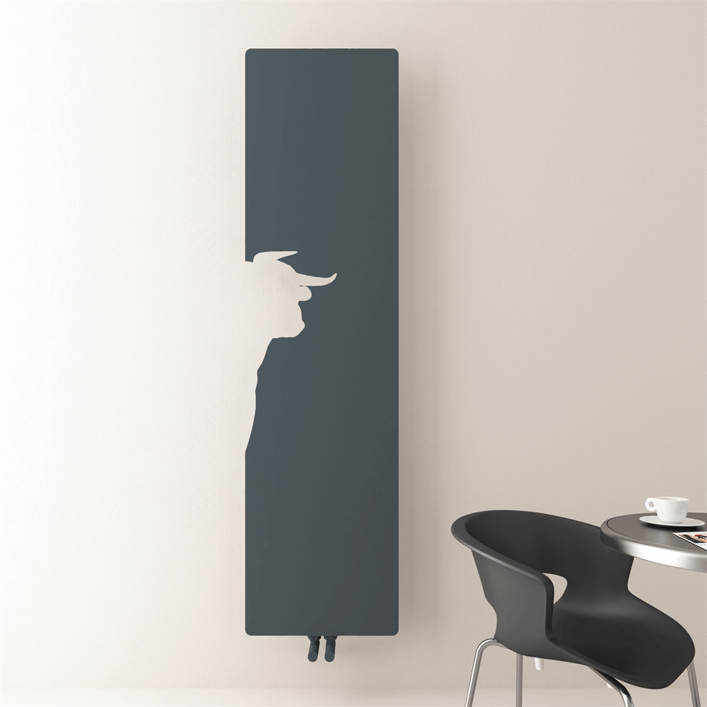 Carisa Lymm Heizkörper, schlankes Design, vertikal, Stahl, modernes Design, Anthrazit