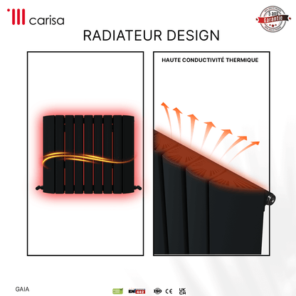 Carisa Gaia Horizontaler Aluminium-Heizkörper, modernes Design, Anthrazit 